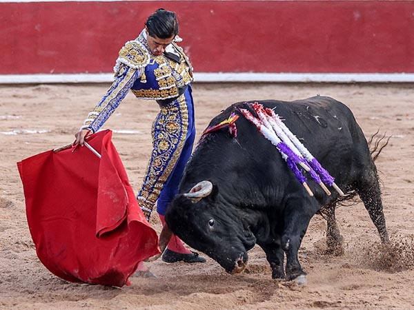 Llev�ndolo toreado