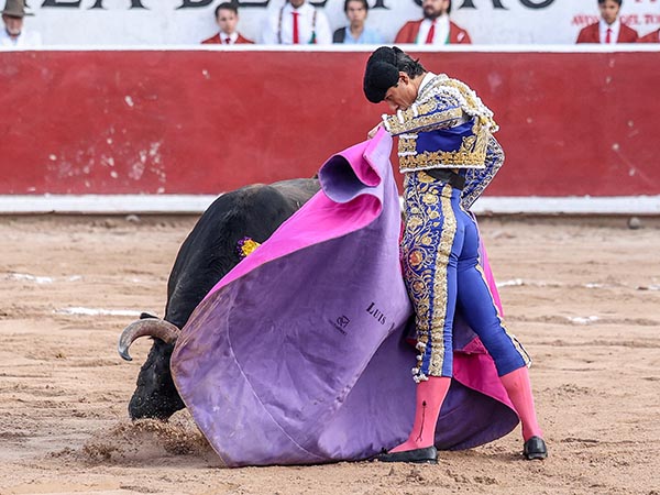 Saludo capotero