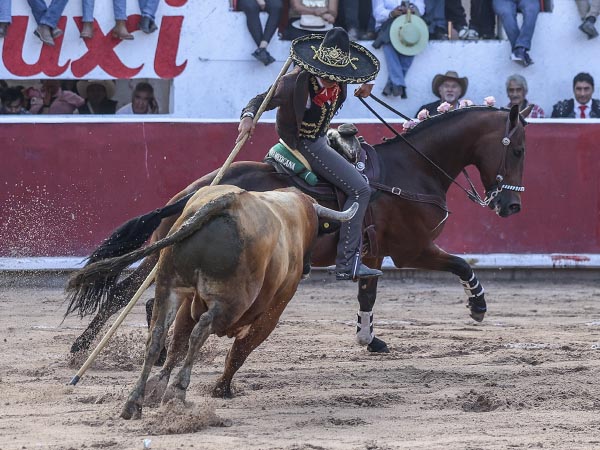 Encelando con la garrocha