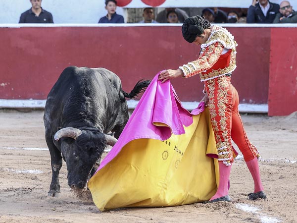 El recibo de ver�nicas