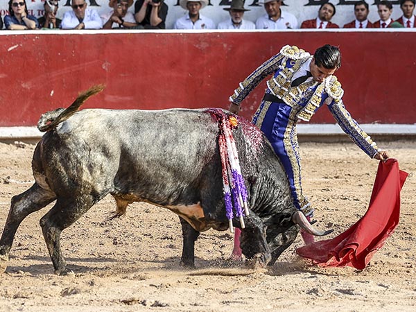 La nobleza del c�rdeno