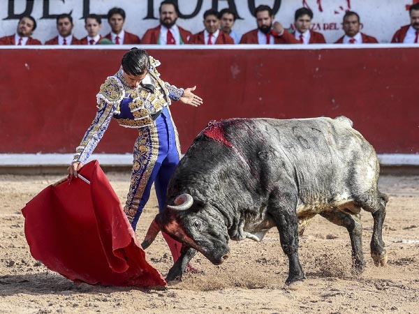 Pit�n derecho