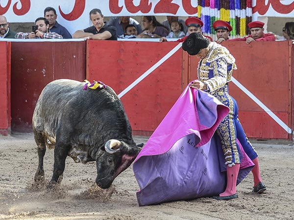 Lances de Luis David