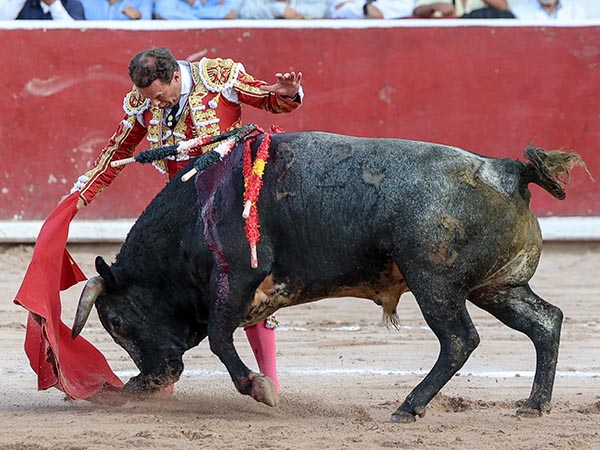 Arrebato torero