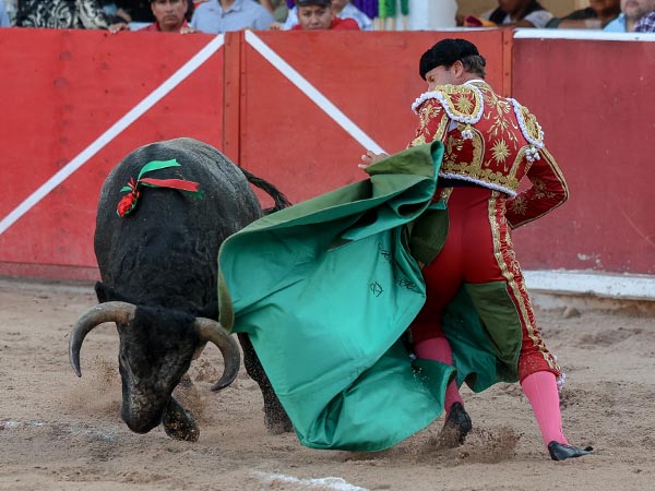 Estampa a�eja