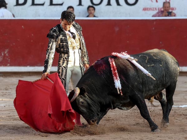 Solvencia de maestro