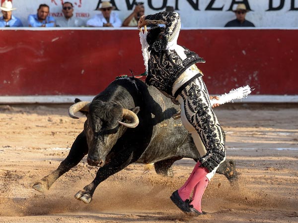 Zapata monumental