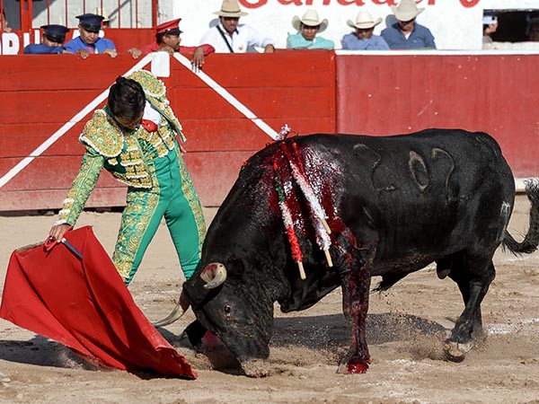 Acompasadas tandas por el derecho