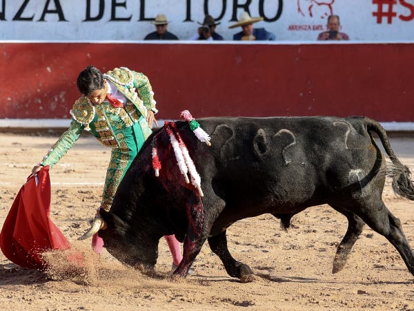 Mano baja