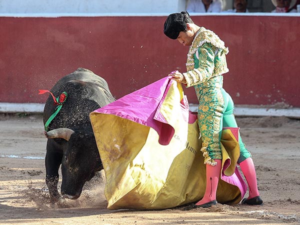 Mandonas ver�nicas