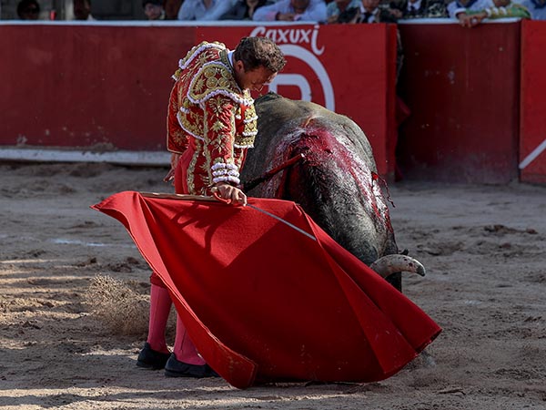 Ce�idos muletazos