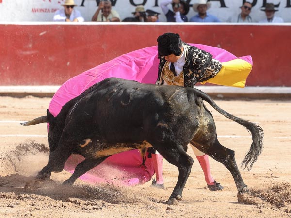 Los vuelos del capote