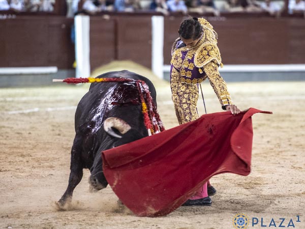 Tirando del ejemplar