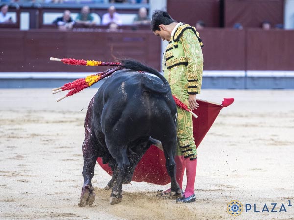 Ce�idos muletazos