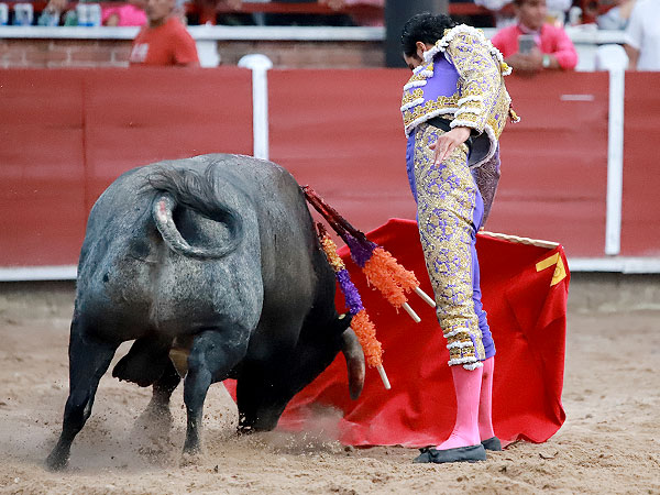 Metido en la muleta