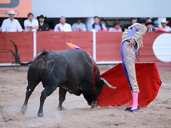 Toro de arrastre lento