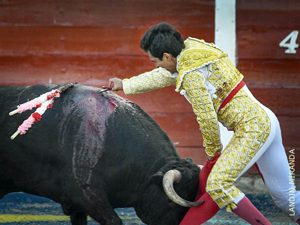 Daniel, matador de toros