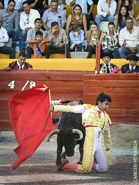 Valor y solvencia