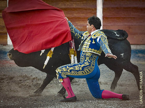 Variedad en la lidia