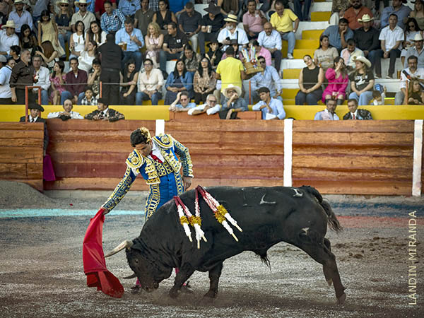 Bajo la atenta mirada de los ganaderos