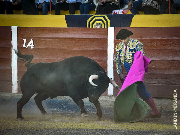 Las ver�nicas de El Chihuahua