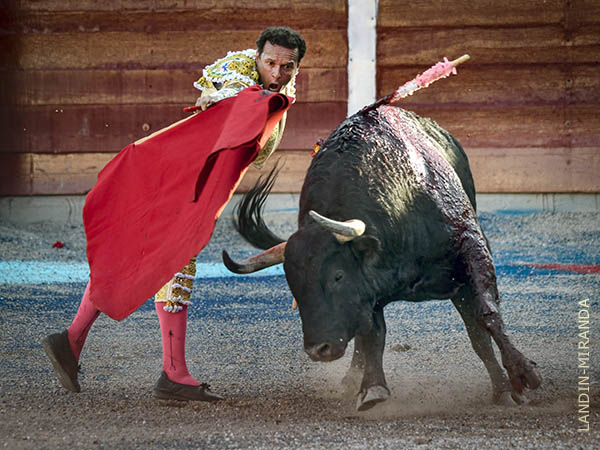 Recia faena de Ferrera