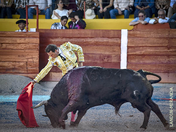 Temple extreme�o