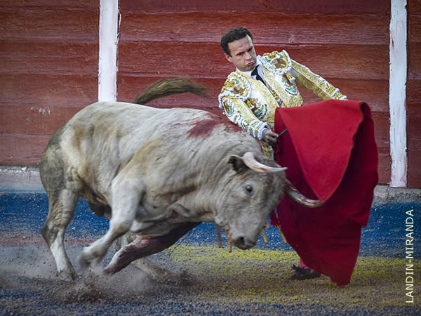 Haci�ndose del cenizo