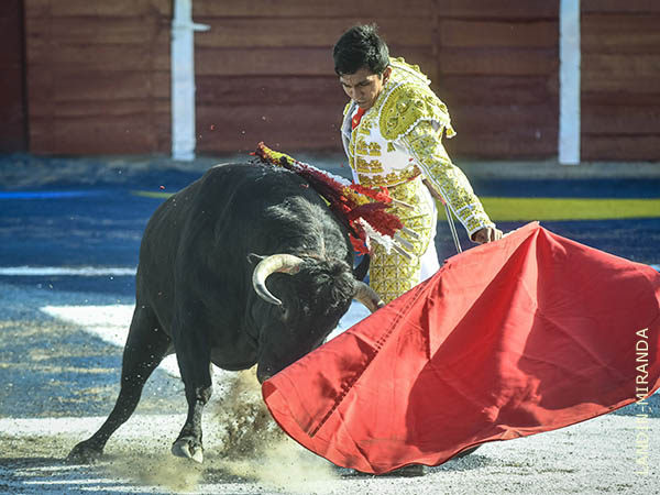 Nuevo matador hidroc�lido