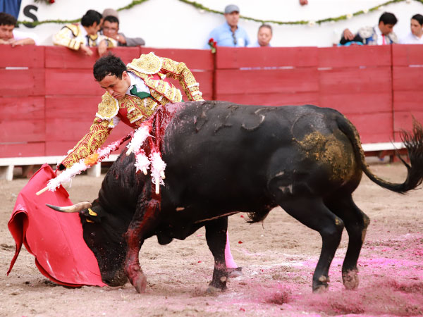 Faena intensa con trasmisi�n