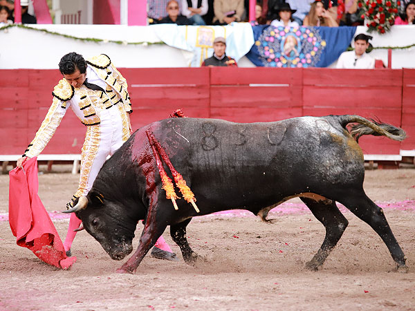 Faena de gran nivel