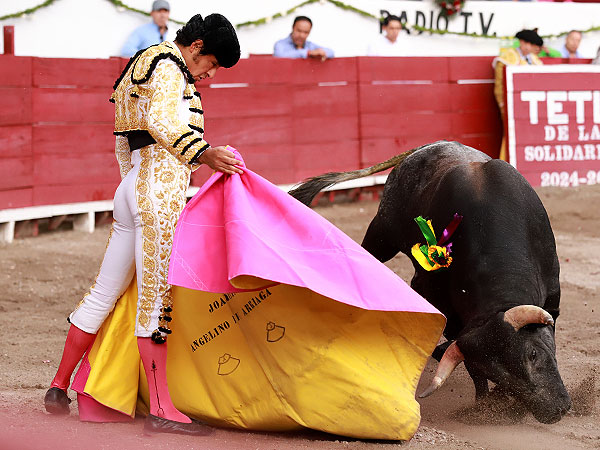 Calidad del Toro de el Vergel