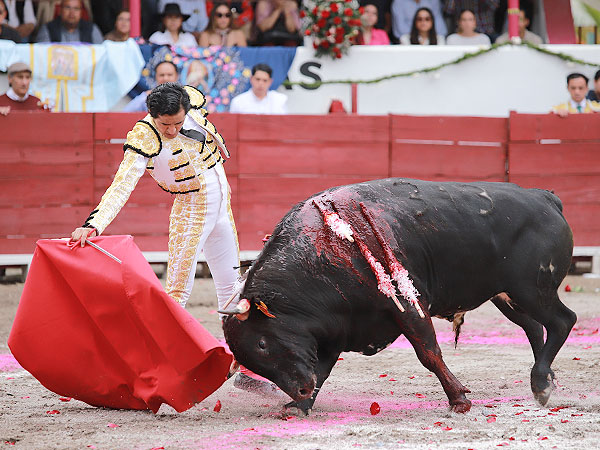 Tauromaquia depurada
