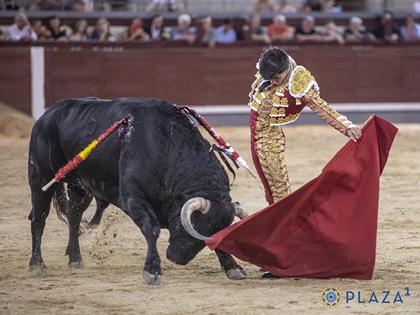 Tirando del c�rdeno