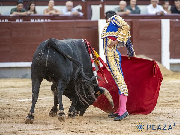 Nobleza y ritmo
