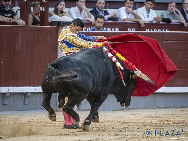 Supo encauzarlo