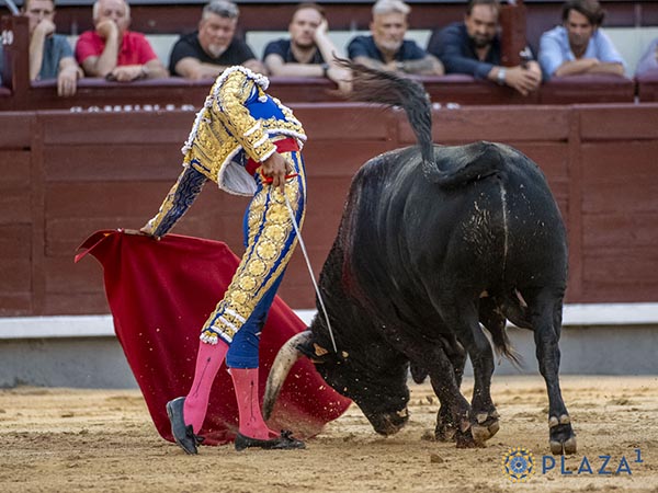Entonados