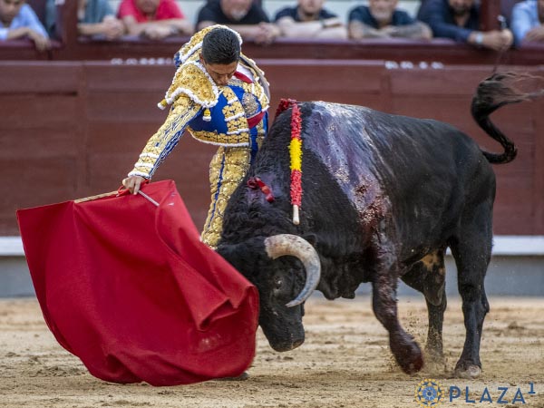Por la fajilla