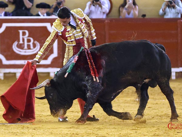 Temple extreme�o
