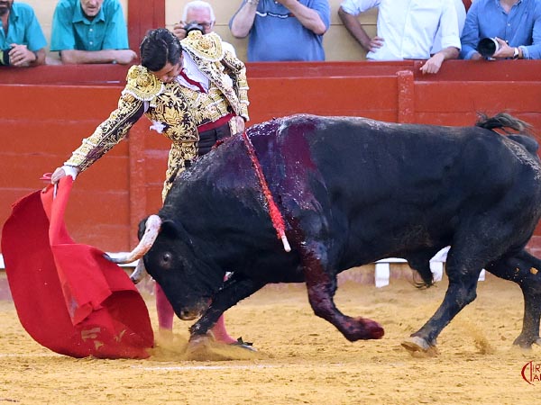 Entonado