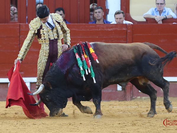 Reposo torero