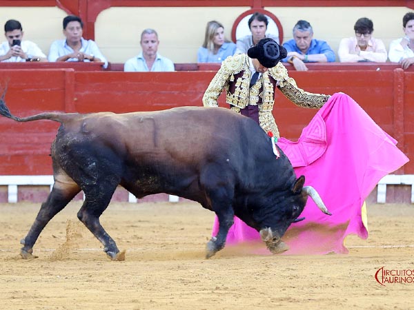 Ver�nicas en el saludo