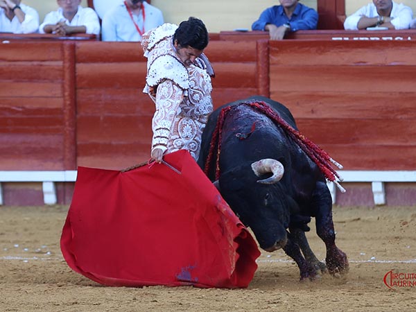 Ce�idos muletazos
