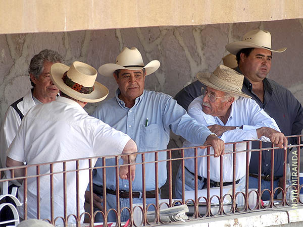 Jornada de tientas