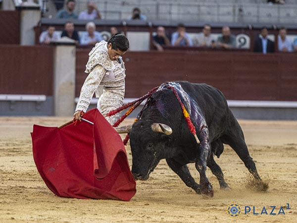 Tirando del negro