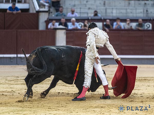 Acompasadas tandas