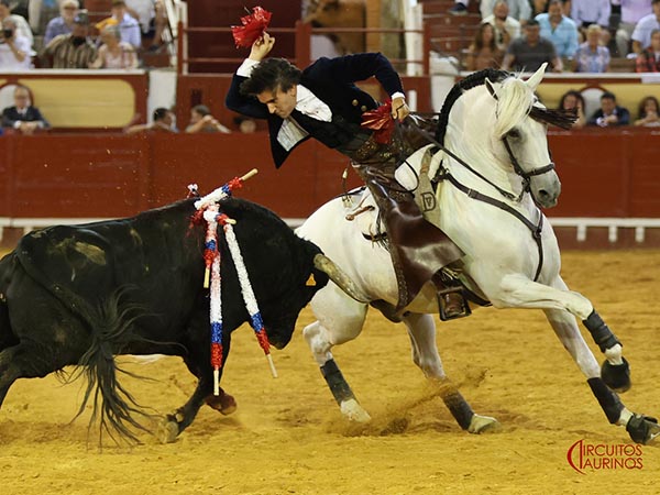 Excelente monta del caballista