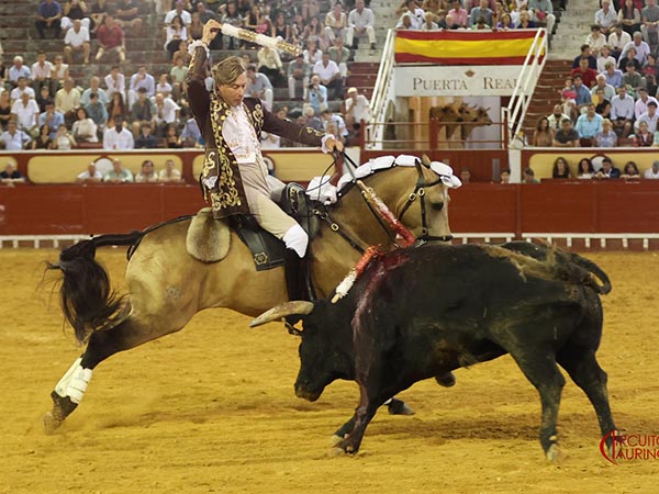 Banderilla larga