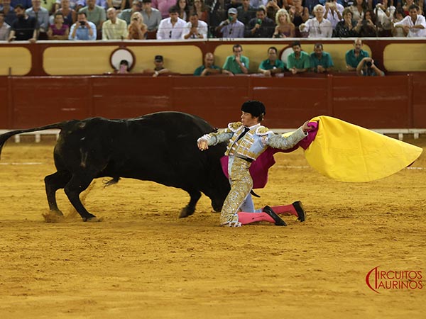 Larga de hinojos