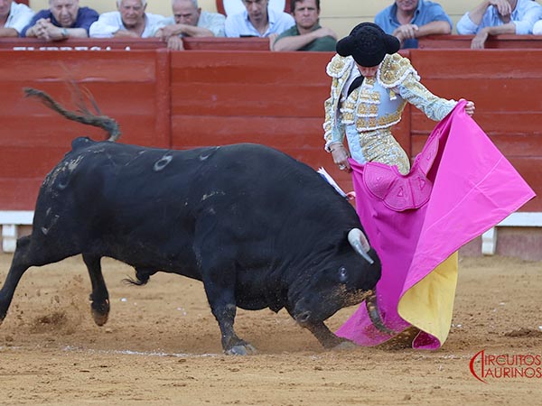Magn�ficas ver�nicas